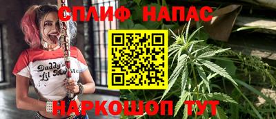 apvp Братск