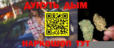 ешки Боровичи