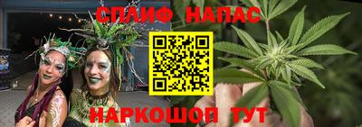 ешки Боровичи