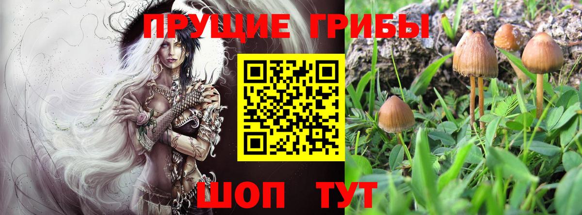 Галлюциногенные грибы MAGIC MUSHROOMS  Вход с VPN  Вязники  Псилоцибиновые грибы Magic Shrooms 