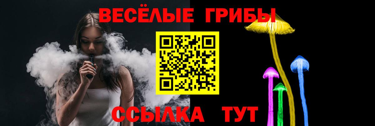 Псилоцибиновые грибы MAGIC MUSHROOMS Вязники